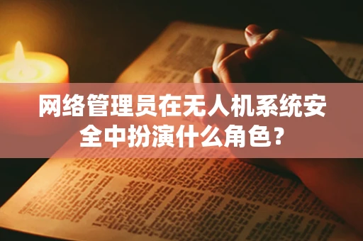 网络管理员在无人机系统安全中扮演什么角色？