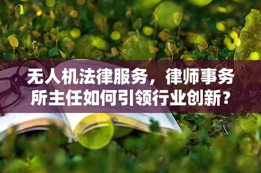 无人机法律服务，律师事务所主任如何引领行业创新？