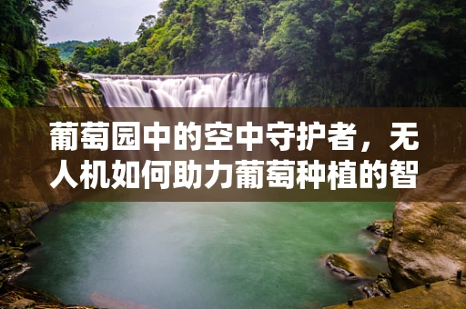 葡萄园中的空中守护者，无人机如何助力葡萄种植的智慧升级？