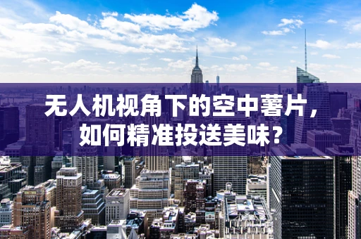 无人机视角下的空中薯片，如何精准投送美味？