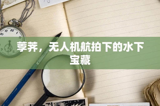 荸荠，无人机航拍下的水下宝藏