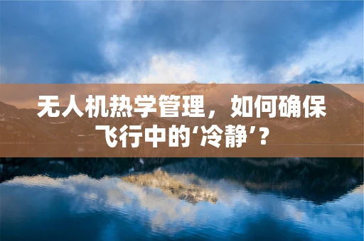无人机热学管理，如何确保飞行中的‘冷静’？