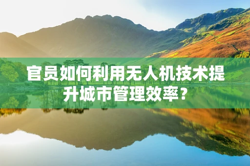 官员如何利用无人机技术提升城市管理效率？