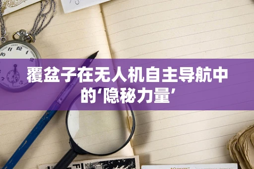 覆盆子在无人机自主导航中的‘隐秘力量’