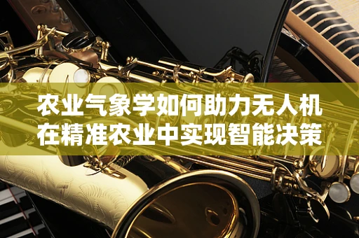 农业气象学如何助力无人机在精准农业中实现智能决策？