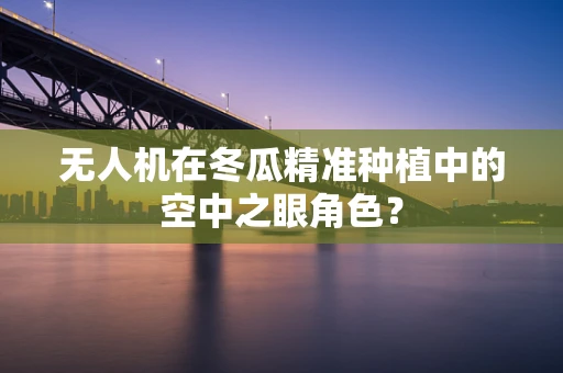 无人机在冬瓜精准种植中的空中之眼角色？