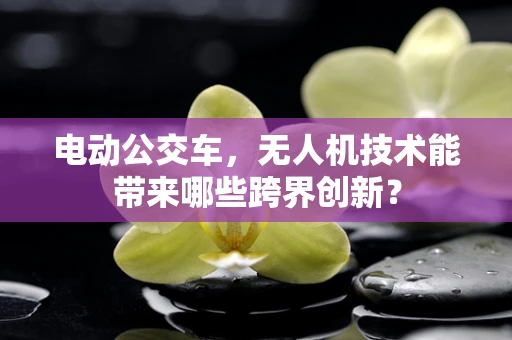 电动公交车，无人机技术能带来哪些跨界创新？
