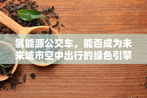 氢能源公交车，能否成为未来城市空中出行的绿色引擎？