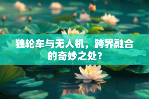 独轮车与无人机，跨界融合的奇妙之处？