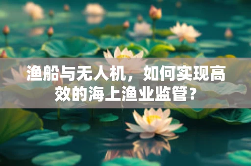 渔船与无人机，如何实现高效的海上渔业监管？