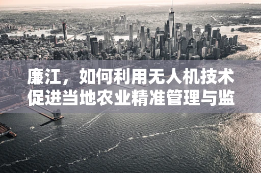 廉江，如何利用无人机技术促进当地农业精准管理与监测？