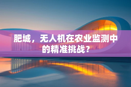 肥城，无人机在农业监测中的精准挑战？