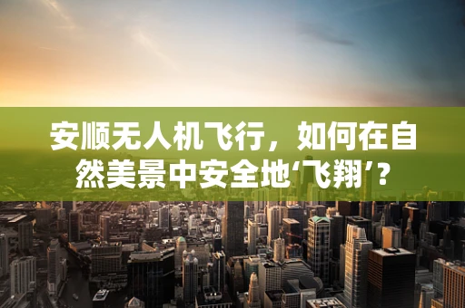 安顺无人机飞行，如何在自然美景中安全地‘飞翔’？
