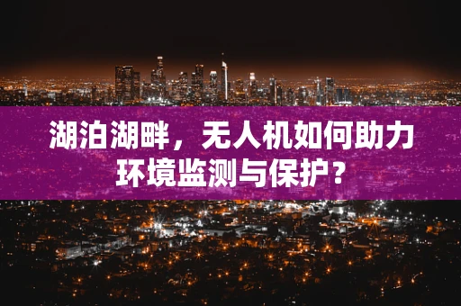 湖泊湖畔，无人机如何助力环境监测与保护？