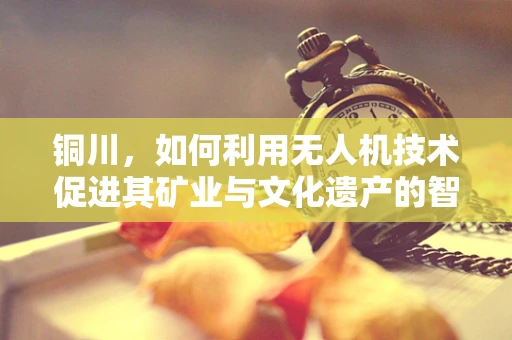 铜川，如何利用无人机技术促进其矿业与文化遗产的智慧保护？
