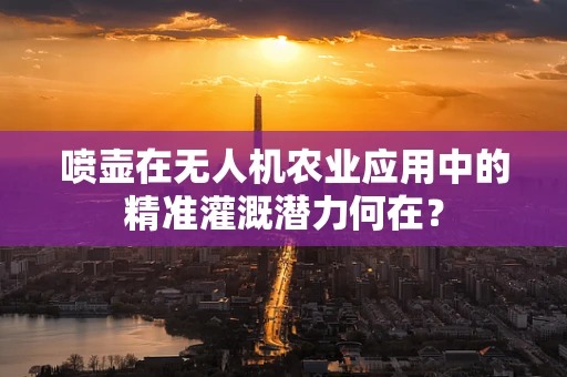 喷壶在无人机农业应用中的精准灌溉潜力何在？