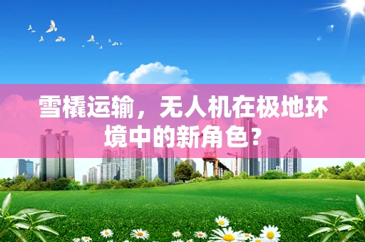 雪橇运输，无人机在极地环境中的新角色？