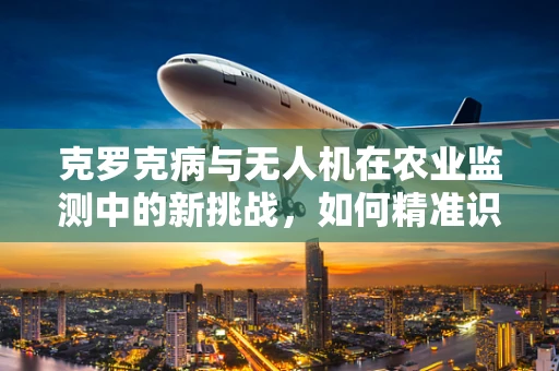 克罗克病与无人机在农业监测中的新挑战，如何精准识别并避免影响患者？
