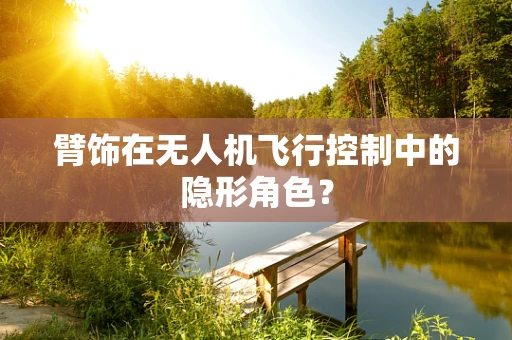 臂饰在无人机飞行控制中的隐形角色？