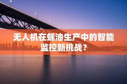 无人机在蚝油生产中的智能监控新挑战？