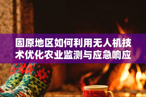 固原地区如何利用无人机技术优化农业监测与应急响应？