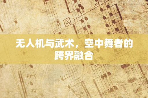 无人机与武术，空中舞者的跨界融合