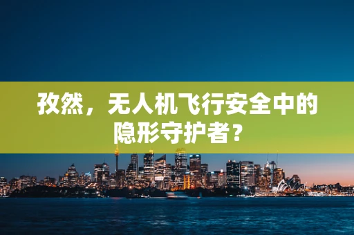 孜然，无人机飞行安全中的隐形守护者？