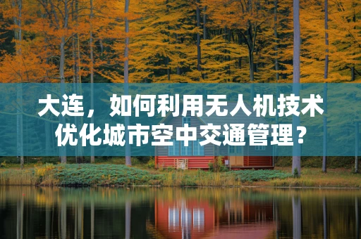 大连，如何利用无人机技术优化城市空中交通管理？