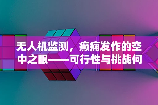 无人机监测，癫痫发作的空中之眼——可行性与挑战何在？