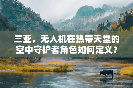 三亚，无人机在热带天堂的空中守护者角色如何定义？