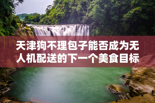 天津狗不理包子能否成为无人机配送的下一个美食目标？