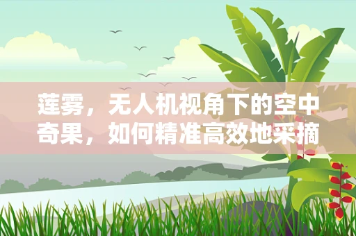 莲雾，无人机视角下的空中奇果，如何精准高效地采摘？