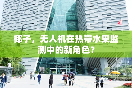椰子，无人机在热带水果监测中的新角色？