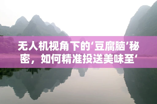 无人机视角下的‘豆腐脑’秘密，如何精准投送美味至‘芯’？