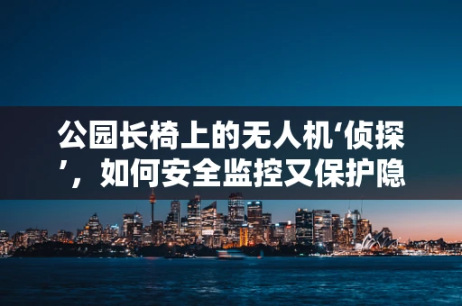公园长椅上的无人机‘侦探’，如何安全监控又保护隐私？