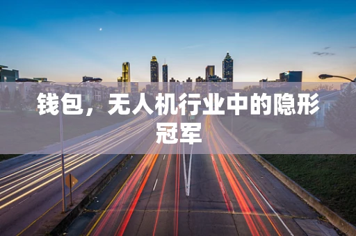 钱包，无人机行业中的隐形冠军