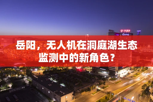 岳阳，无人机在洞庭湖生态监测中的新角色？
