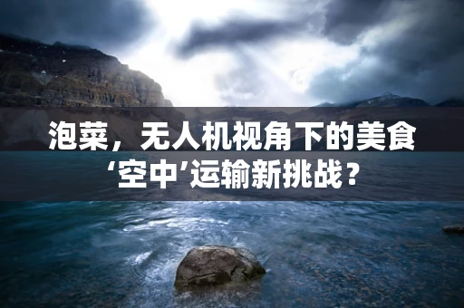 泡菜，无人机视角下的美食‘空中’运输新挑战？