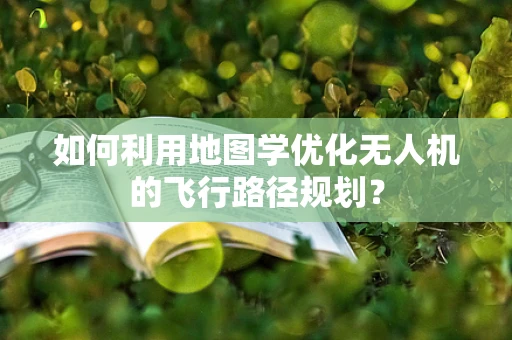 如何利用地图学优化无人机的飞行路径规划？