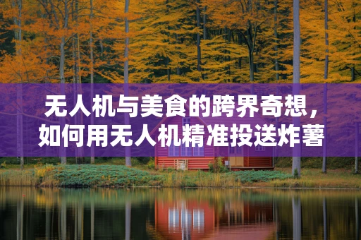 无人机与美食的跨界奇想，如何用无人机精准投送炸薯条？