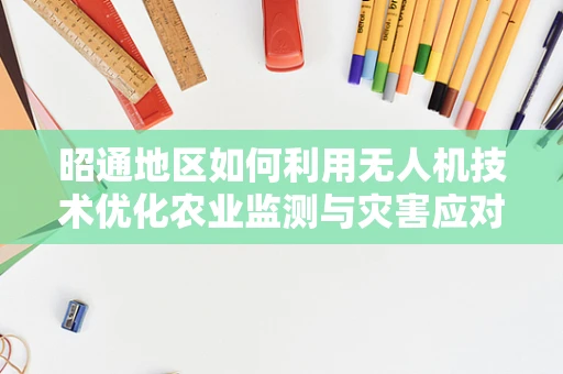 昭通地区如何利用无人机技术优化农业监测与灾害应对？