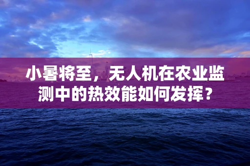小暑将至，无人机在农业监测中的热效能如何发挥？