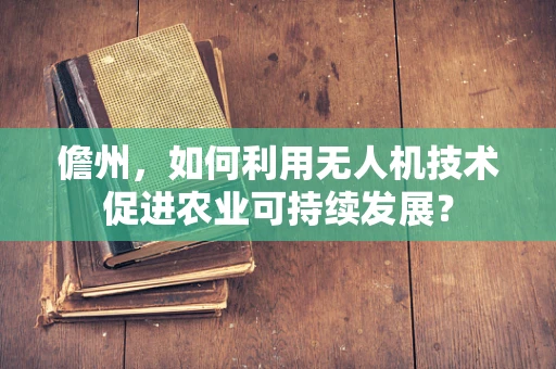 儋州，如何利用无人机技术促进农业可持续发展？