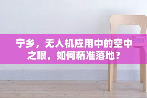 宁乡，无人机应用中的空中之眼，如何精准落地？