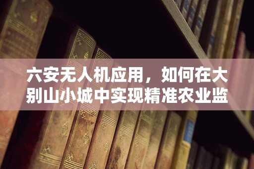 六安无人机应用，如何在大别山小城中实现精准农业监测？