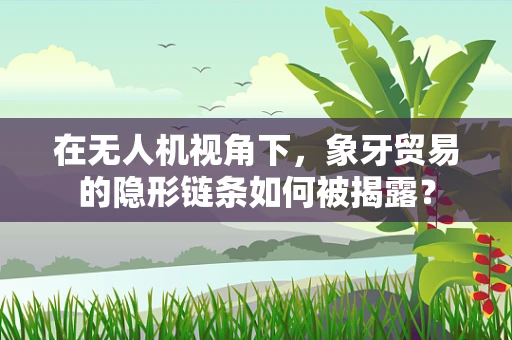 在无人机视角下，象牙贸易的隐形链条如何被揭露？
