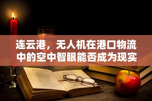 连云港，无人机在港口物流中的空中智眼能否成为现实？