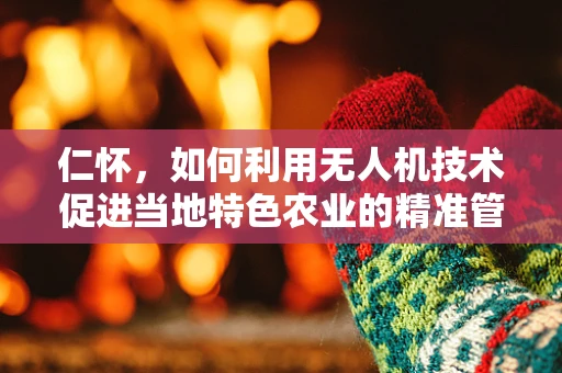 仁怀，如何利用无人机技术促进当地特色农业的精准管理？