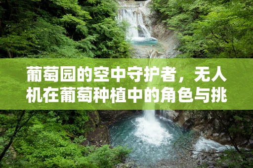 葡萄园的空中守护者，无人机在葡萄种植中的角色与挑战