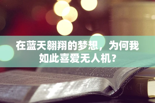 在蓝天翱翔的梦想，为何我如此喜爱无人机？